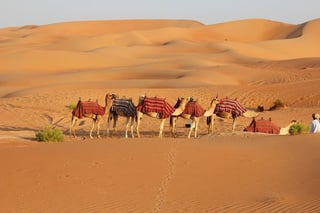 Jaisalmer City