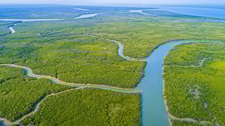 Sundarbans Delta