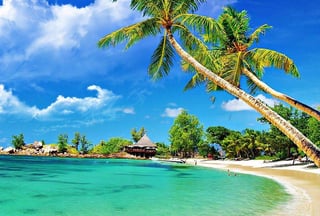 Goa's Beaches