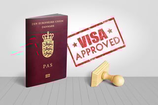 Denmark Passport with Visa Approved Wooden Stamp for Travel