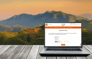 India evisa application status