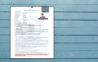 India Visa Saint Lucia
