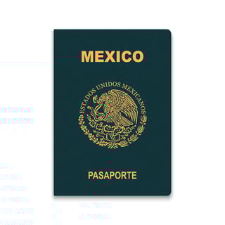 Passport of Mexico Vector Illustration