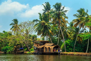 Houseboat cruising on Alleppey backwater canals, Kerala