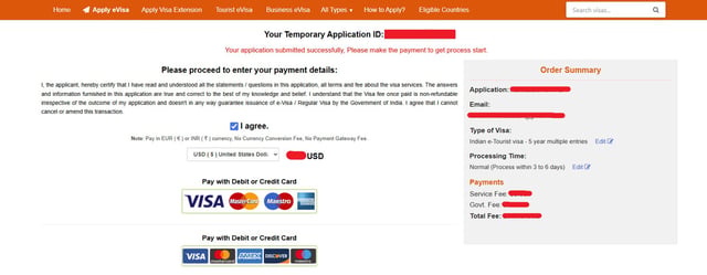 E Visa Payment Stage