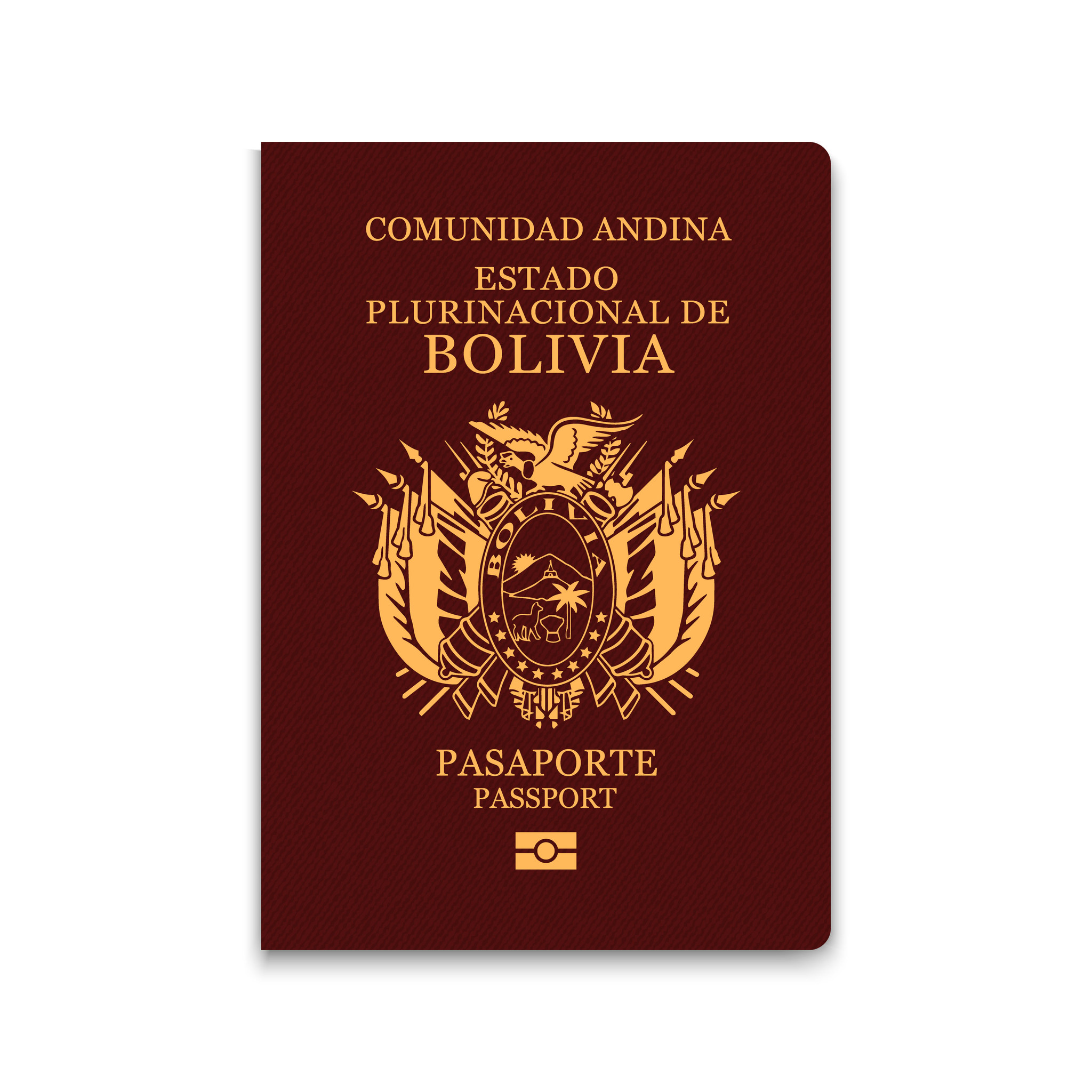 Bolivianischer Reisepass – Bürger-ID-Vorlage, Vektorillustration