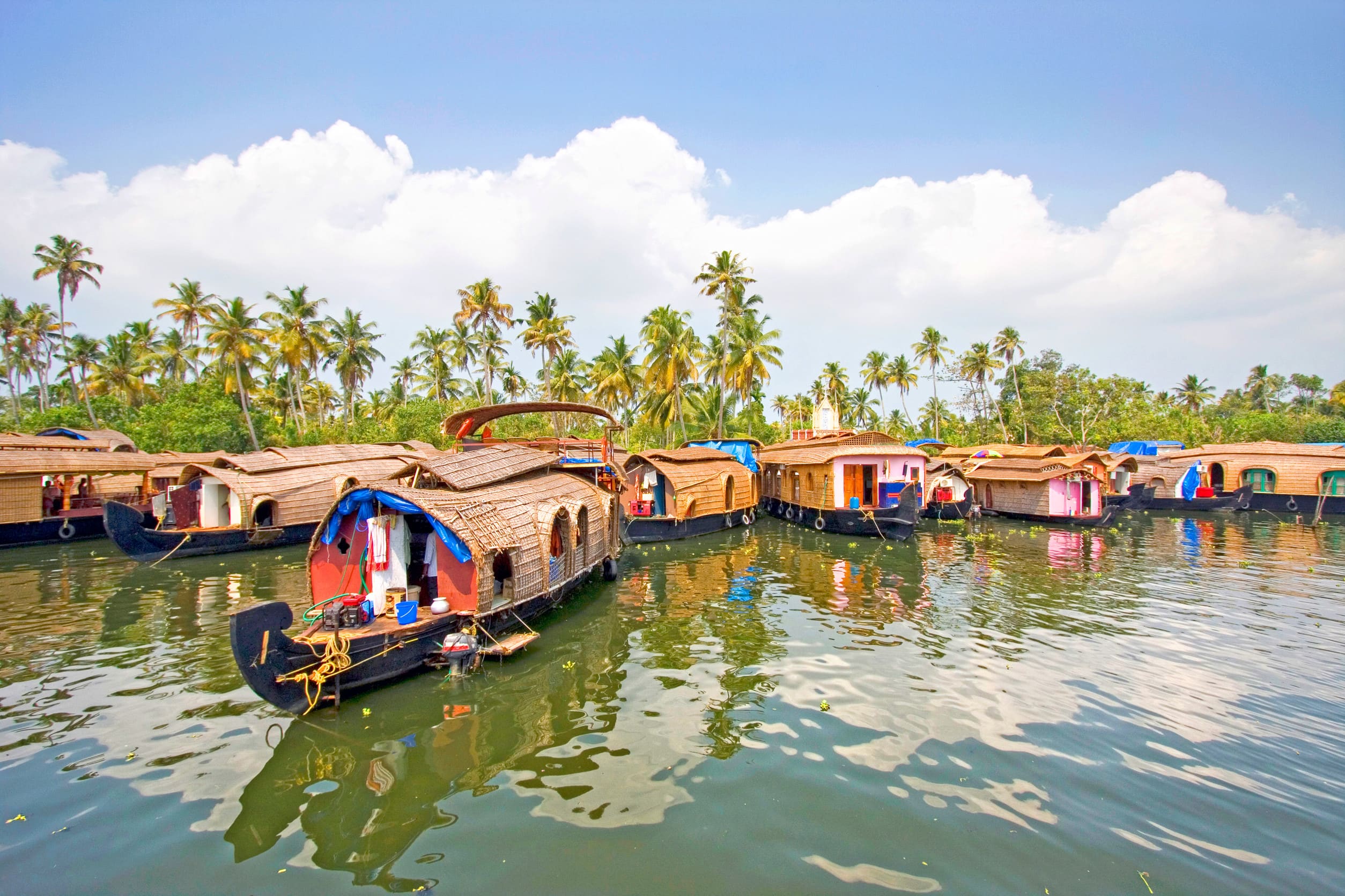 Traditionelle Hausboote, die entlang der Ufer der Backwaters von Alleppey, Kerala, vertäut sind
