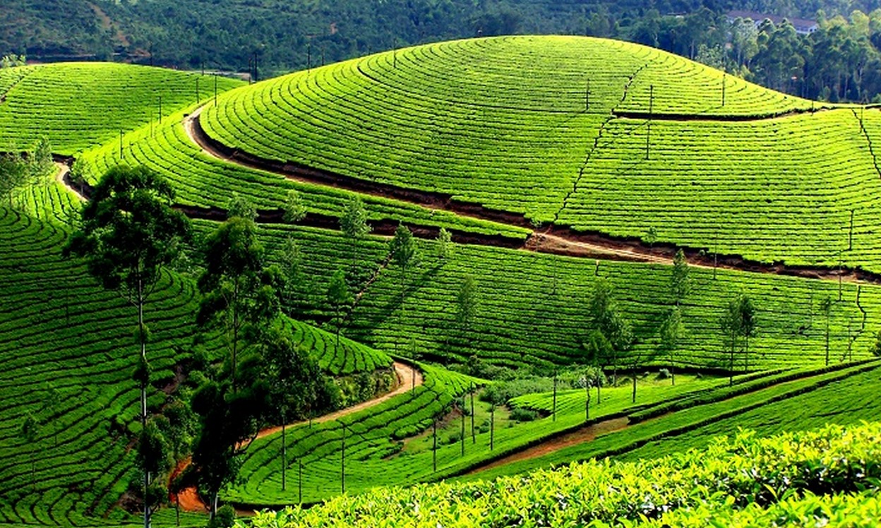 Bali