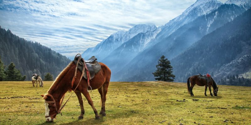 Pahalgam