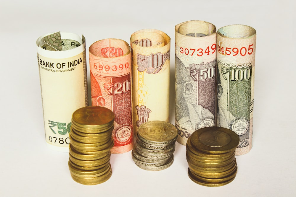 The cost of an Indian e-Visa