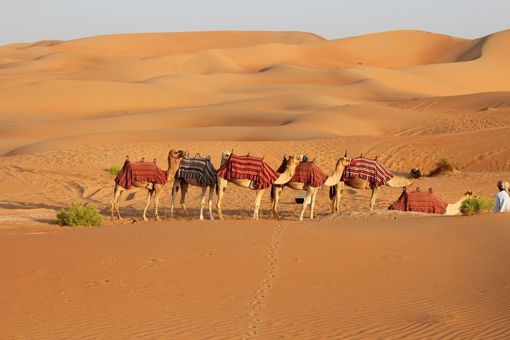 Jaisalmer City